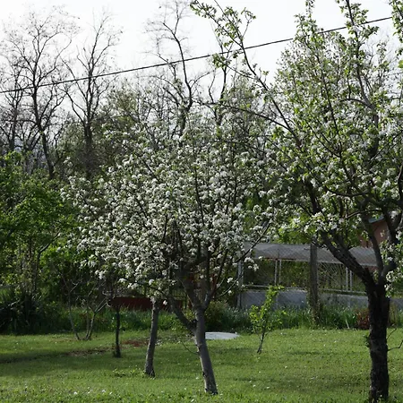 Perla Holiday home Despotovac