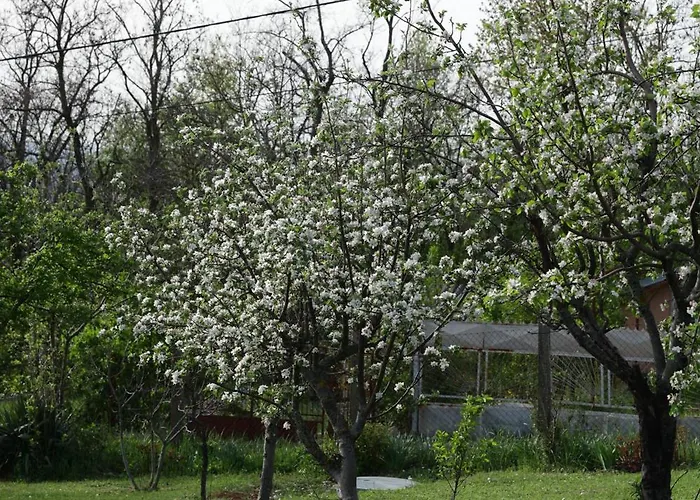 Perla 펜션 데스포토바츠