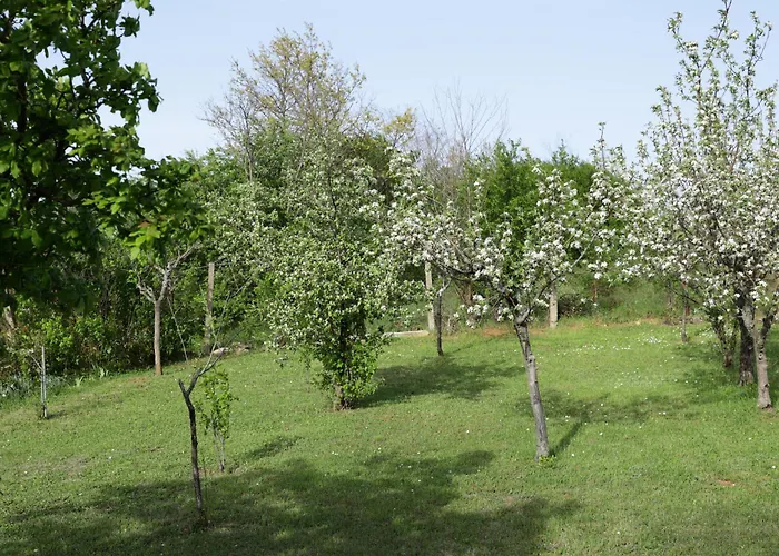 Perla * 데스포토바츠