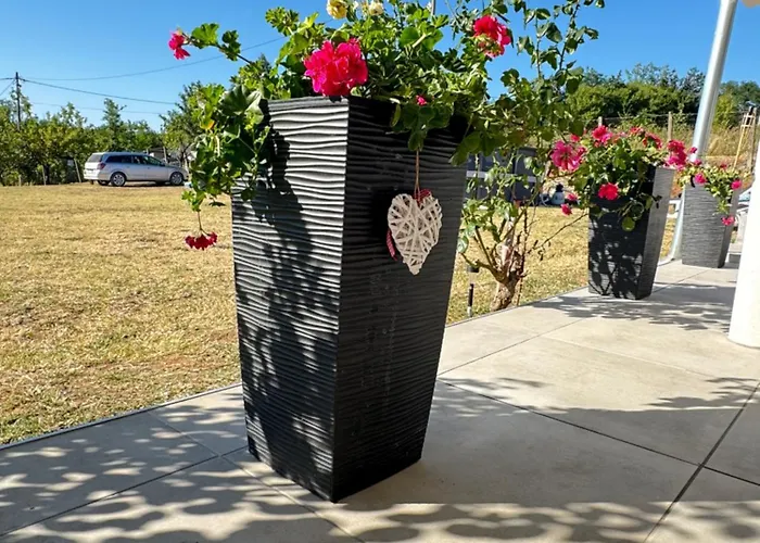 Perla 데스포토바츠